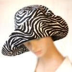 widebrim1 